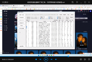 短视频免费批量解析无水印下载工具，无使用限制（含操作视频教程）-小淘项目甄选