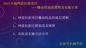 2025小淘网盘拉新项目，赚高收益的逻辑及实操方案-小淘项目甄选