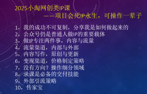 2025小淘网创类IP课，项目会死IP永生，可操作一辈子-小淘项目甄选