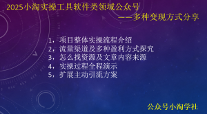 2025小淘实操工具软件类领域公众号，多种变现方式分享-小淘项目甄选
