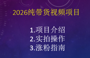 2026小淘纯带货视频项目-小淘项目甄选